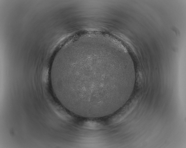 X0000113530596200909181136