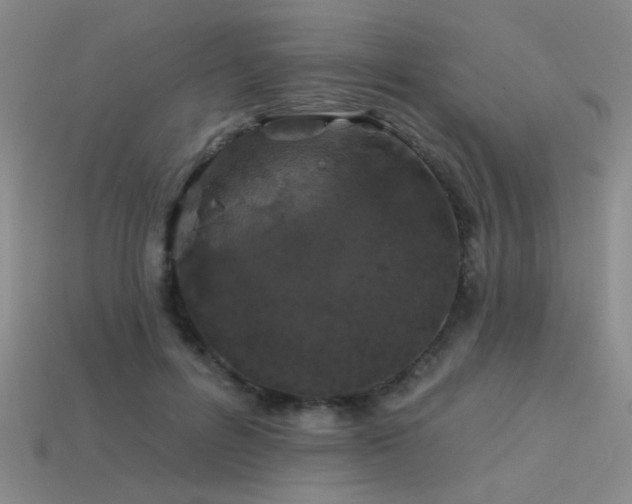 X0000113530600200909181136