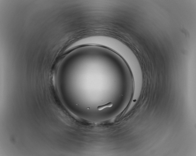 X0000113530601200909181136