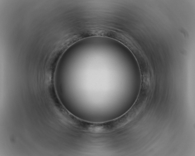 X0000113530602200909181136