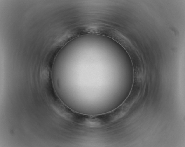 X0000113530603200909181136