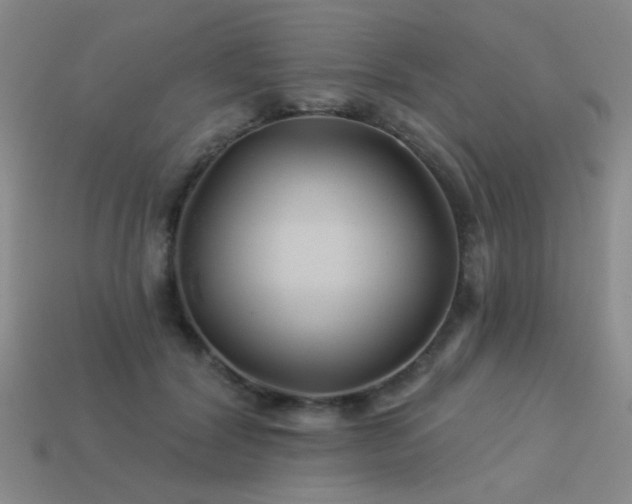X0000113530604200909181136