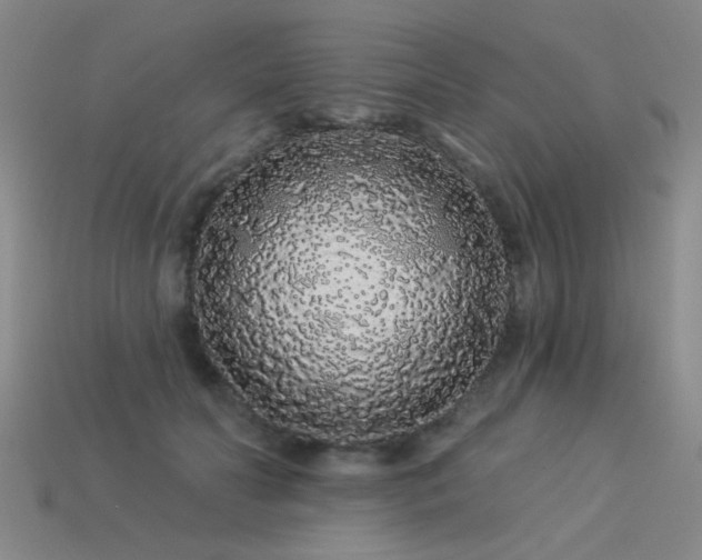 X0000113530606200909181136