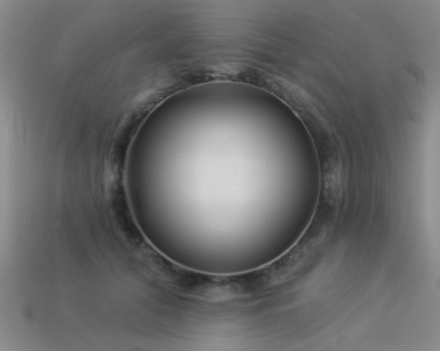X0000113530608200909181136