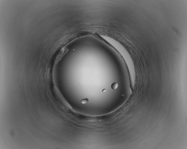 X0000113530611200909181136