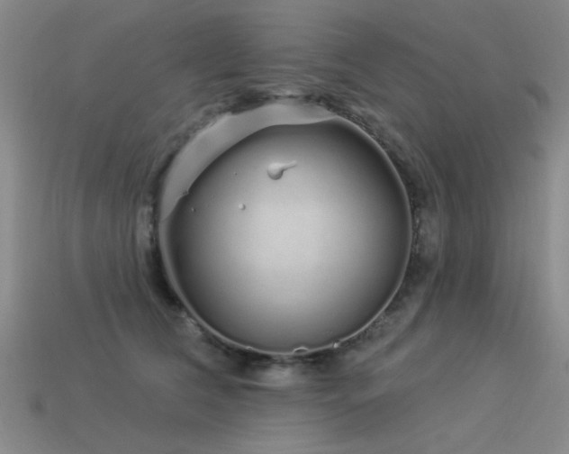 X0000113530612200909181136