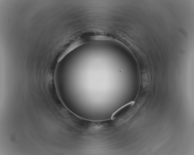 X0000113530613200909181136