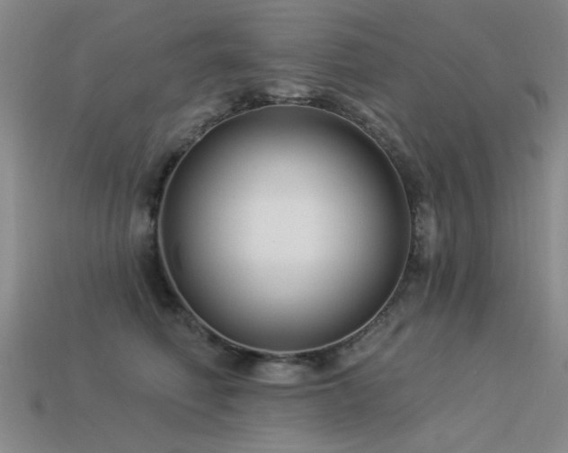 X0000113530614200909181136