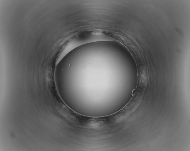 X0000113530616200909181136