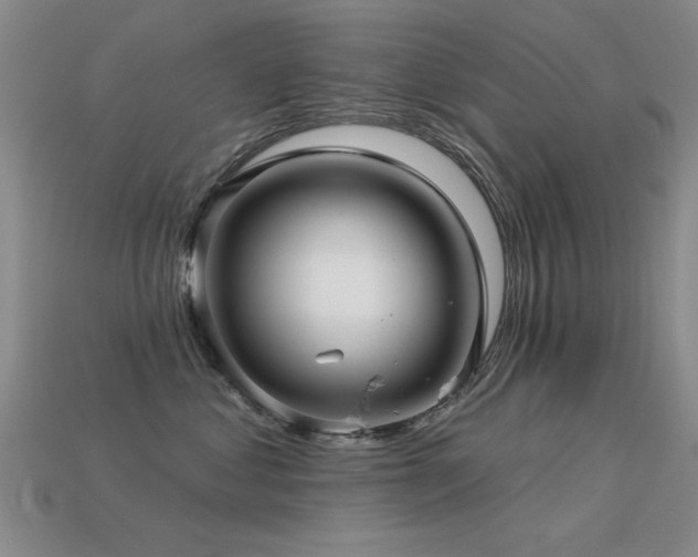 X0000113530621200909181136
