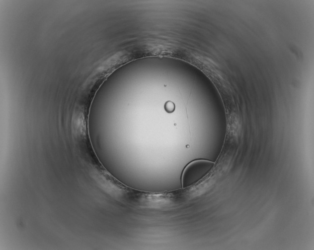 X0000113530622200909181136