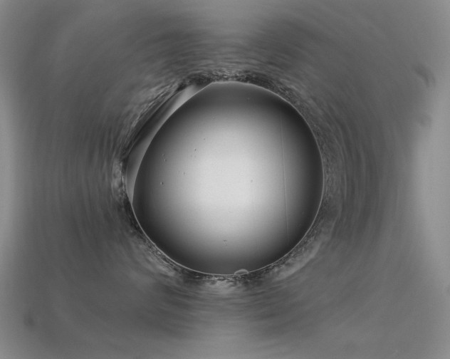 X0000113530624200909181136
