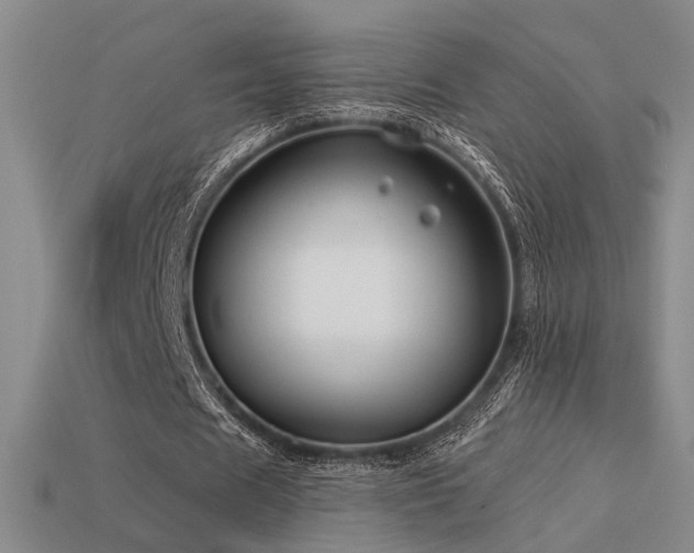 X0000113530625200909181135