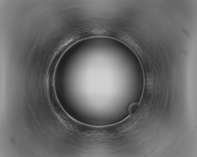 X0000113530626200909181135