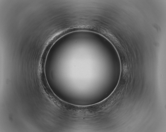 X0000113530628200909181135
