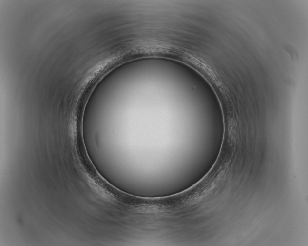 X0000113530629200909181135