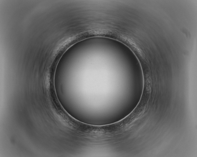 X0000113530631200909181135