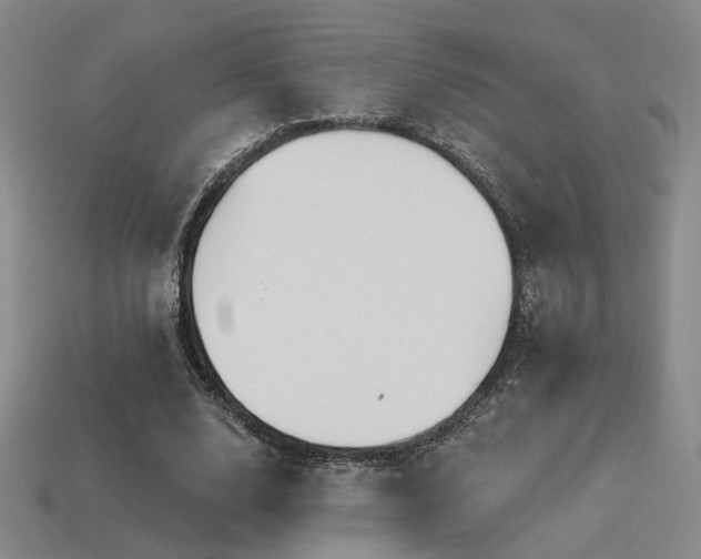 X0000113530632200909181135