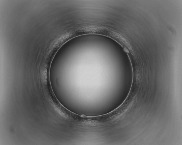 X0000113530633200909181135