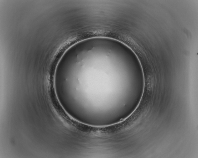 X0000113530634200909181135