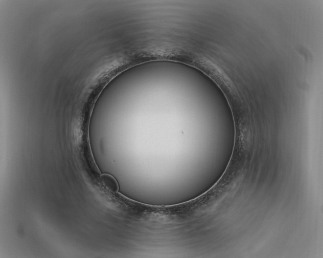 X0000113530635200909181135