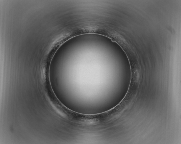 X0000113530638200909181135