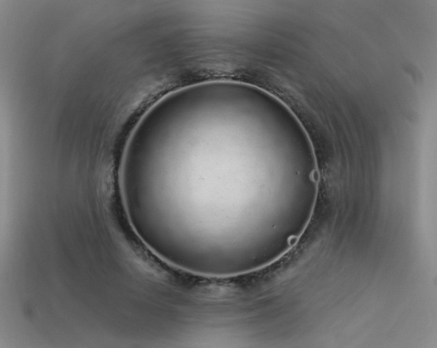 X0000113530642200909181135