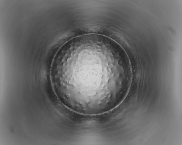 X0000113530643200909181135