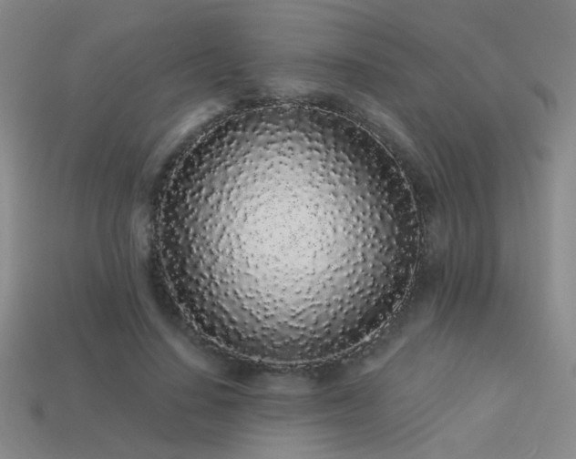 X0000113530644200909181135