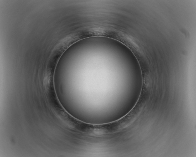 X0000113530645200909181135