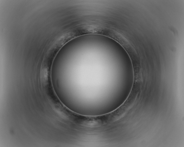 X0000113530646200909181135