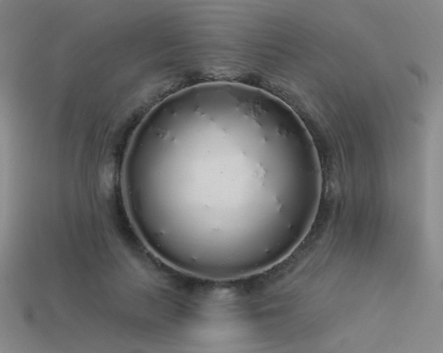 X0000113530647200909181135