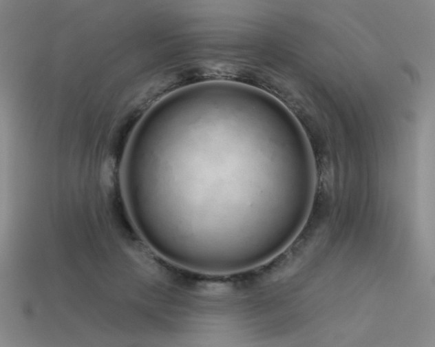 X0000113530649200909181136