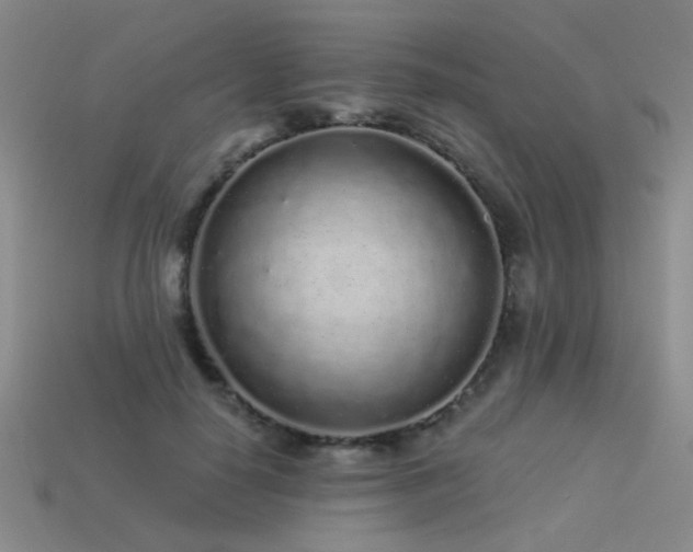 X0000113530650200909181136