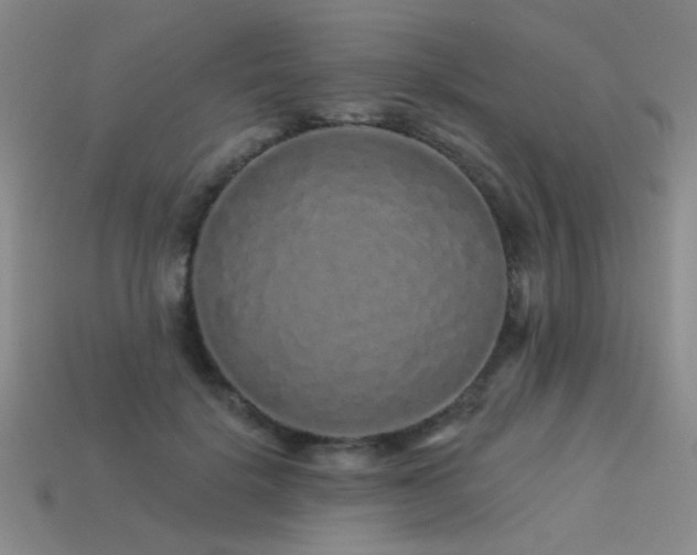 X0000113530652200909181136