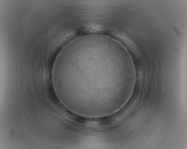 X0000113530653200909181136