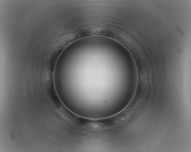 X0000113530654200909181136