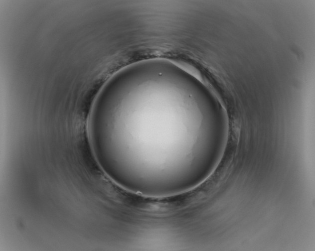 X0000113530657200909181136