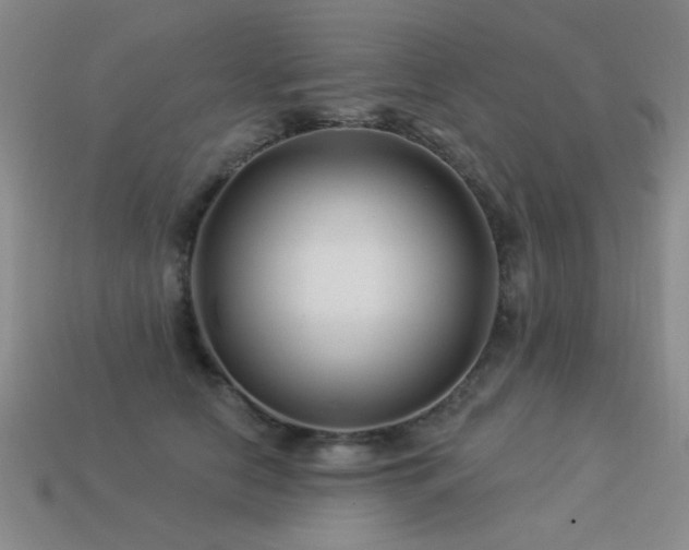 X0000113530658200909181136