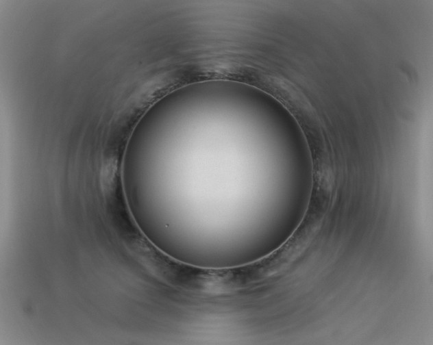 X0000113530660200909181136