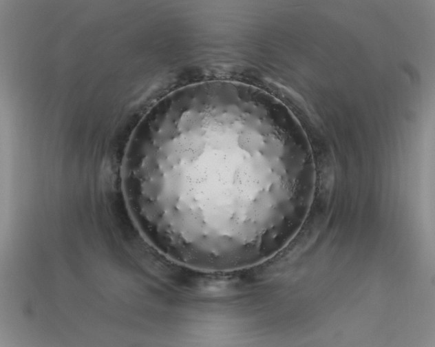X0000113530661200909181136