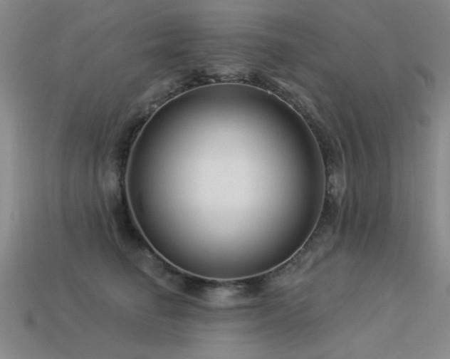 X0000113530662200909181136