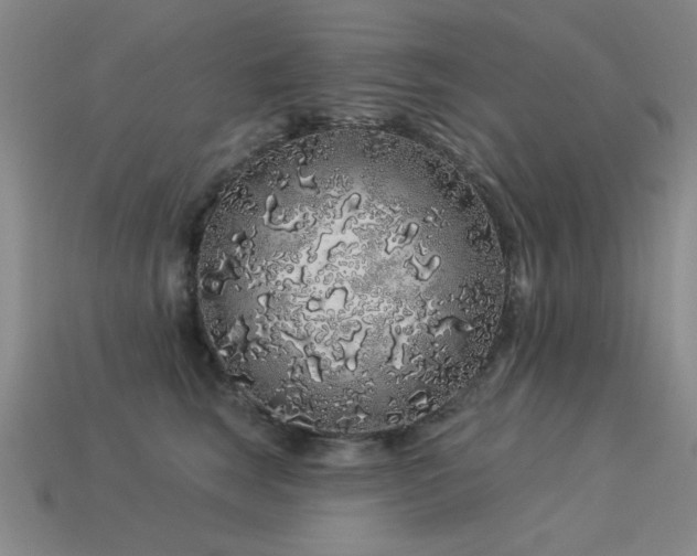 X0000113530663200909181136