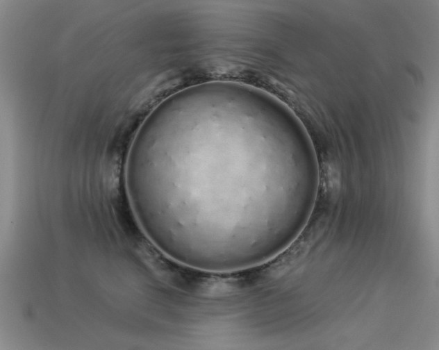 X0000113530664200909181136