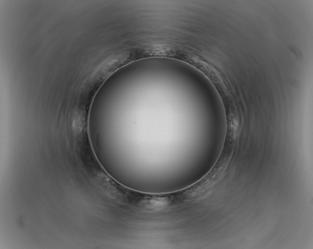 X0000113530665200909181136