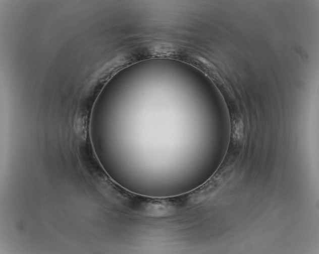 X0000113530666200909181136