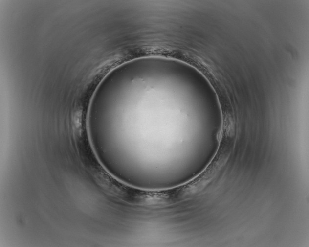 X0000113530670200909181136