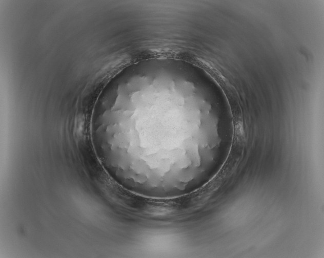X0000113530671200909181136
