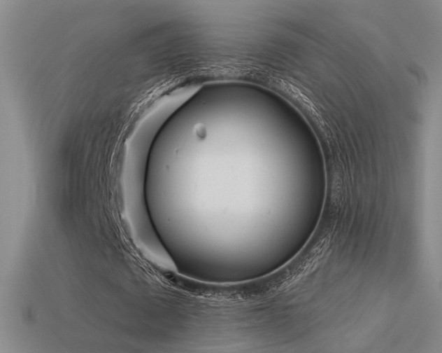 X0000113530673200909181135