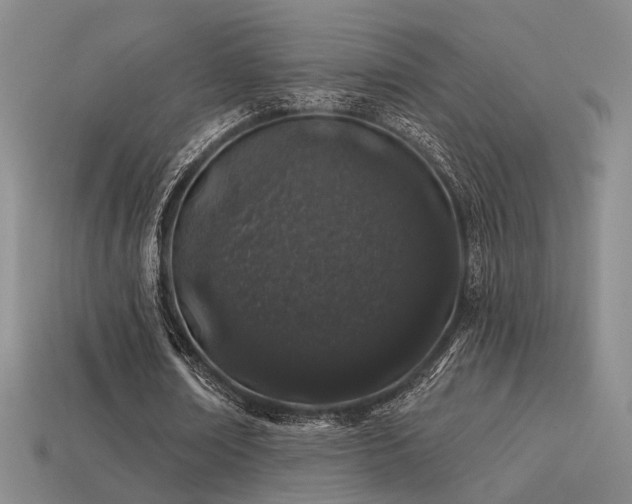 X0000113530674200909181135